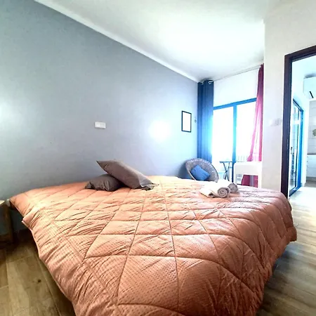 Cpr 9 Портиман